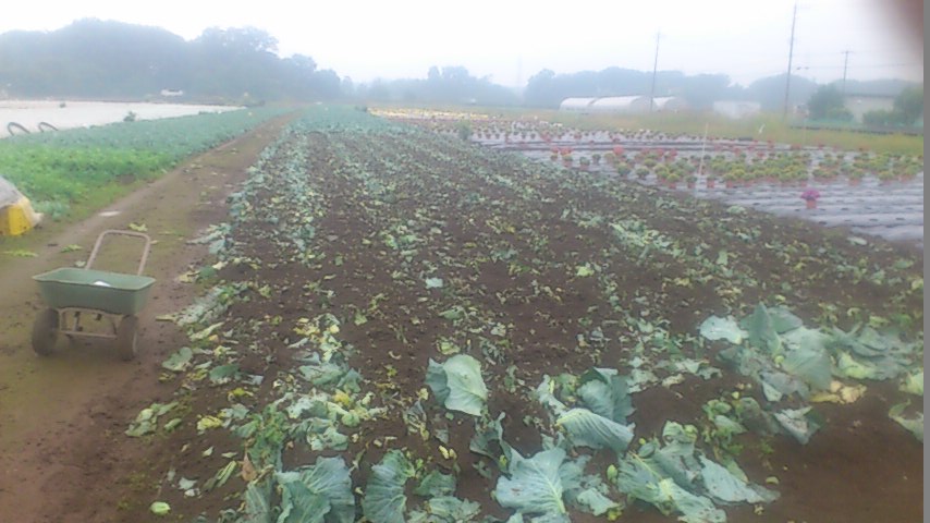 mini_141021_0712.jpg