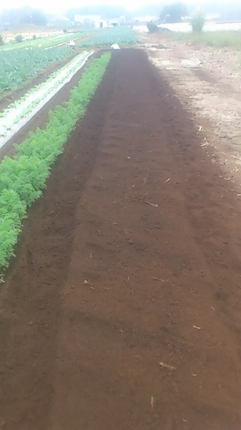 mini_141021_1455.jpg