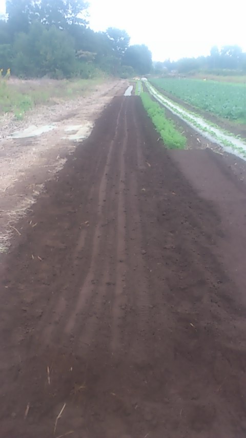 mini_141021_1545.jpg