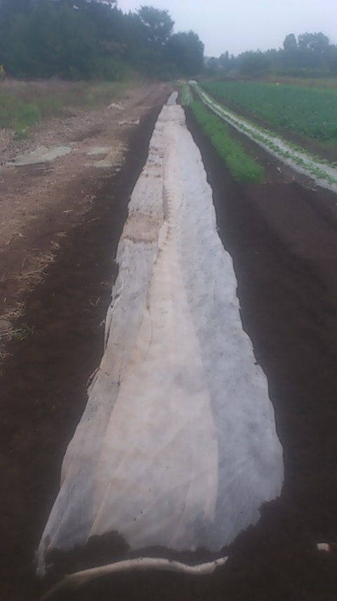 mini_141021_1647.jpg