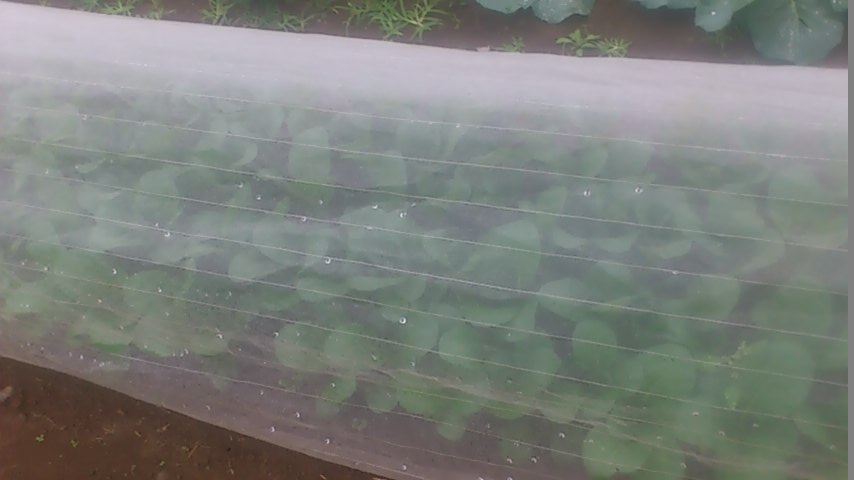 mini_141022_08000001.jpg