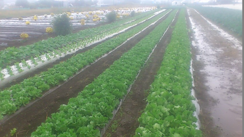 mini_141022_1314.jpg