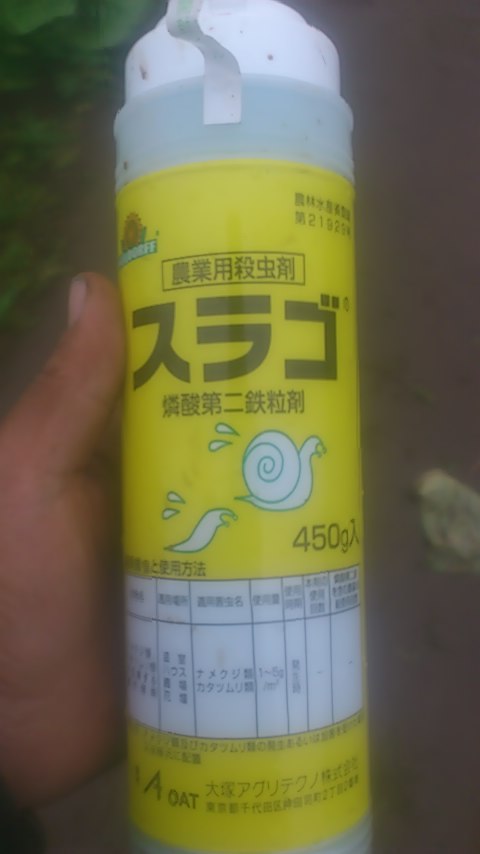 mini_141022_1613.jpg