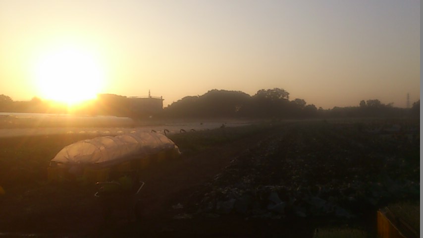 mini_141025_0628.jpg