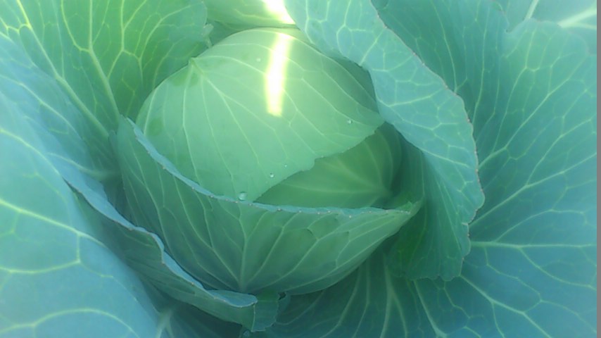 mini_141025_1322.jpg