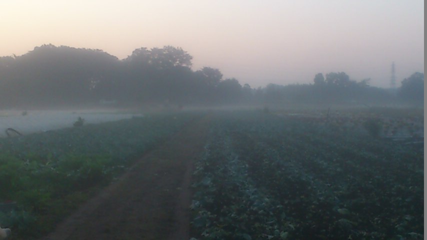 mini_141026_0617.jpg