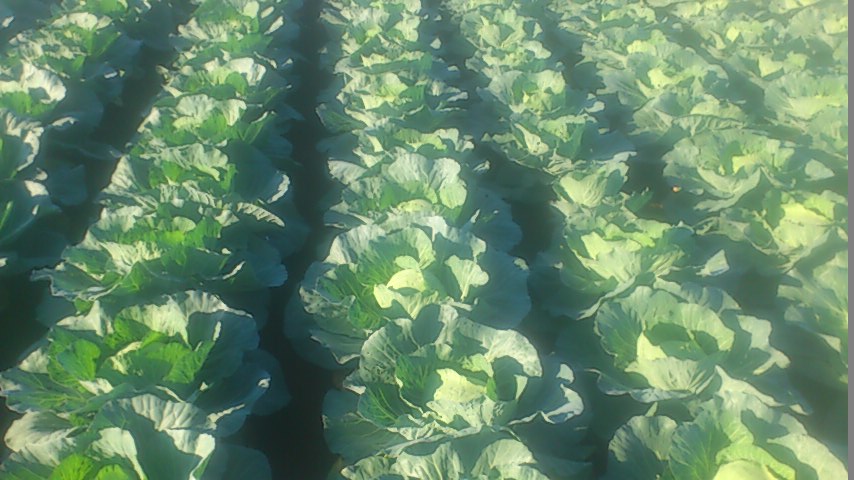 mini_141028_0752.jpg