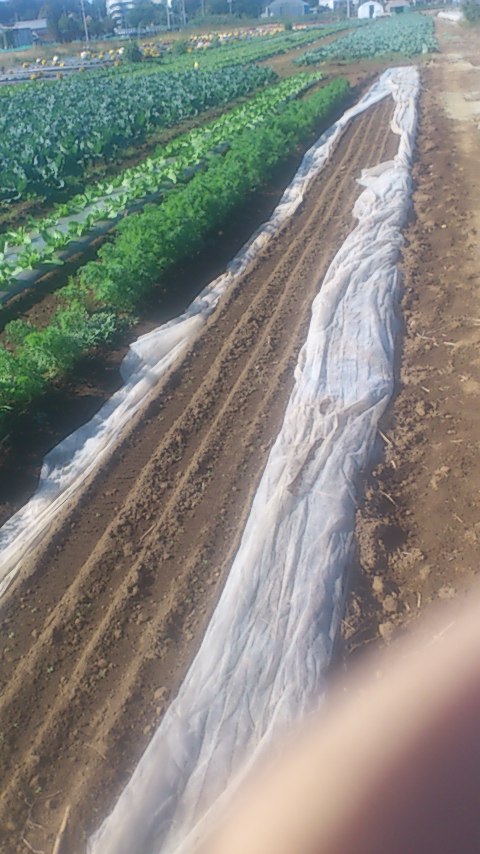 mini_141028_1302.jpg