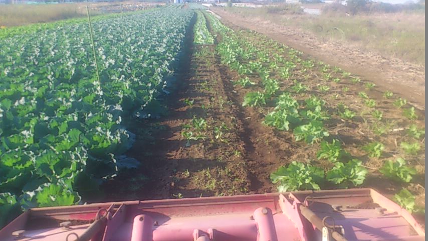 mini_141028_15100001.jpg