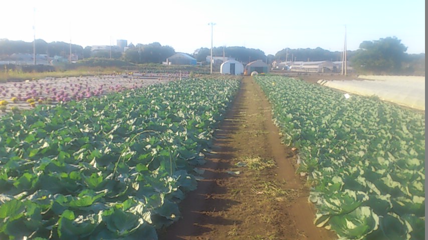 mini_141028_1516.jpg
