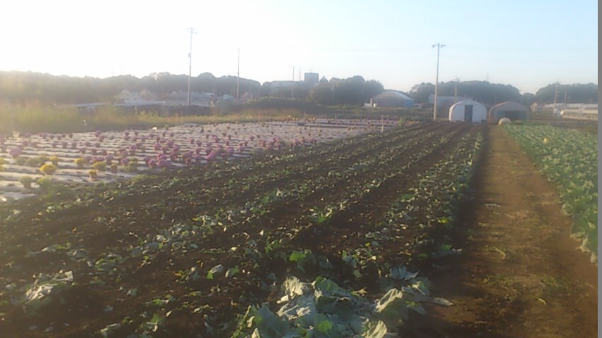 mini_141028_1547.jpg