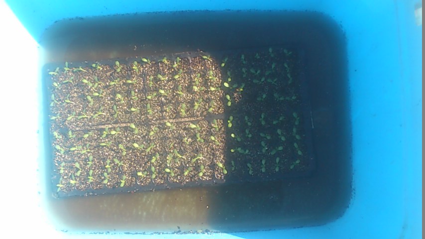 mini_141029_10070002.jpg