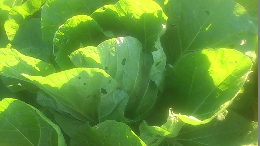 mini_141029_1521.jpg