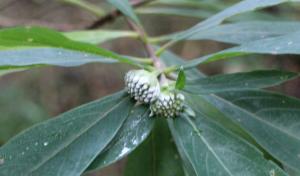 IMG_0058-1_convert_20141113005600.jpg