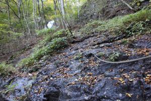 IMG_5495_convert_20141028231458.jpg