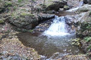 IMG_5513_convert_20141028232355.jpg