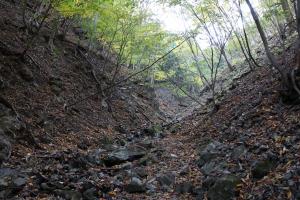 IMG_5524_convert_20141028233234.jpg