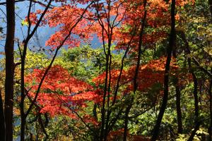 IMG_5533_convert_20141029202811.jpg