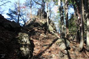 IMG_5547_convert_20141029205259.jpg