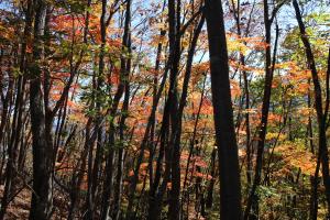 IMG_5641_convert_20141030000130.jpg