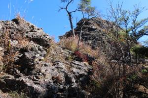 IMG_5647_convert_20141030004332.jpg