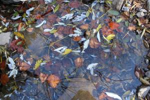 IMG_5776_convert_20141105235145.jpg