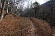 IMG_5783_convert_20141106001617.jpg