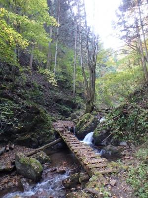 PA280016-1_convert_20141028222245.jpg
