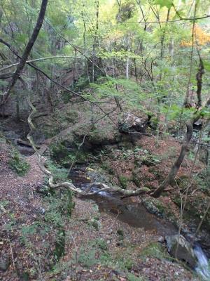 PA280022-1_convert_20141028222308.jpg