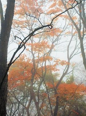 PB120158-1_convert_20141112231018.jpg