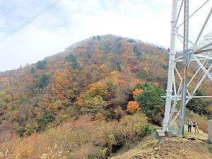 PB120228-1_convert_20141113000224.jpg