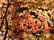 PB140122_convert_20141115014835.jpg