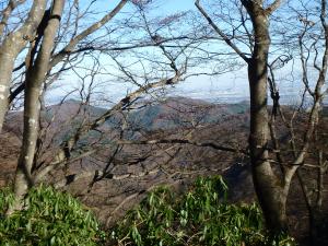 PC030298_convert_20141204161825.jpg