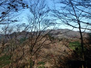 PC030315_convert_20141204165137.jpg