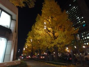 PC030357_convert_20141204173302.jpg
