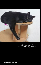 こうめさん。