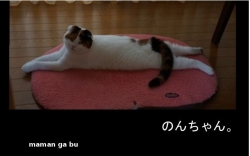 のんちゃん