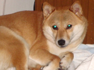 休憩ちう