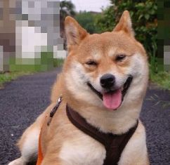 休憩なの