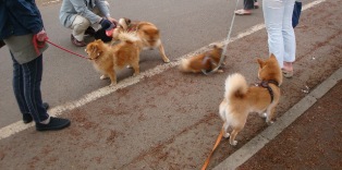 なにはしゃいでるの