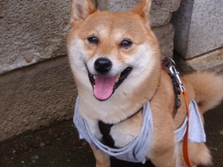 口元ははぁはぁですが、瞳はキラキラ