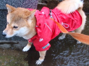 足湯状態・・・
