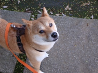なに?