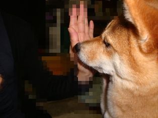 なんでくれないのかな