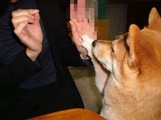 それはちょうだいだよ(^^ゞ