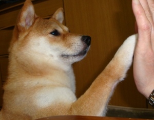 これ正解?