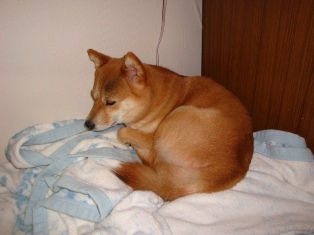 さすがに寒くはないでしょ?