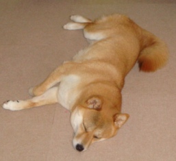 おはよう~朝ですよ~