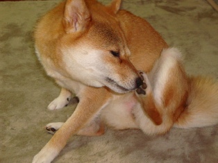 ん、ん~
