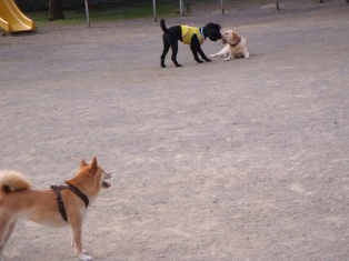 はやく出してよ